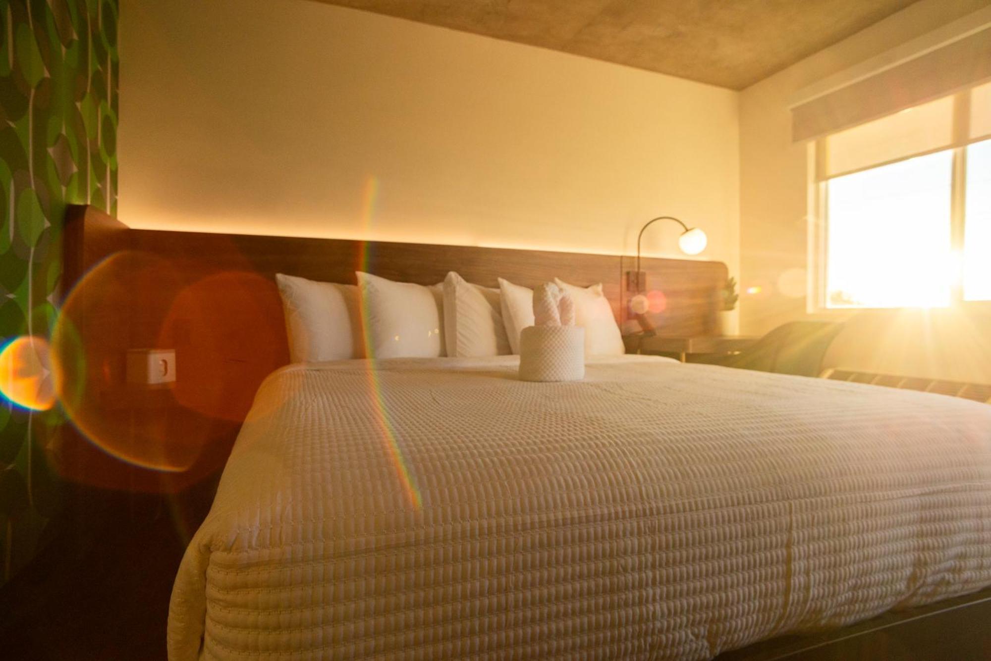 The Alice Hotel Tucson Ngoại thất bức ảnh
