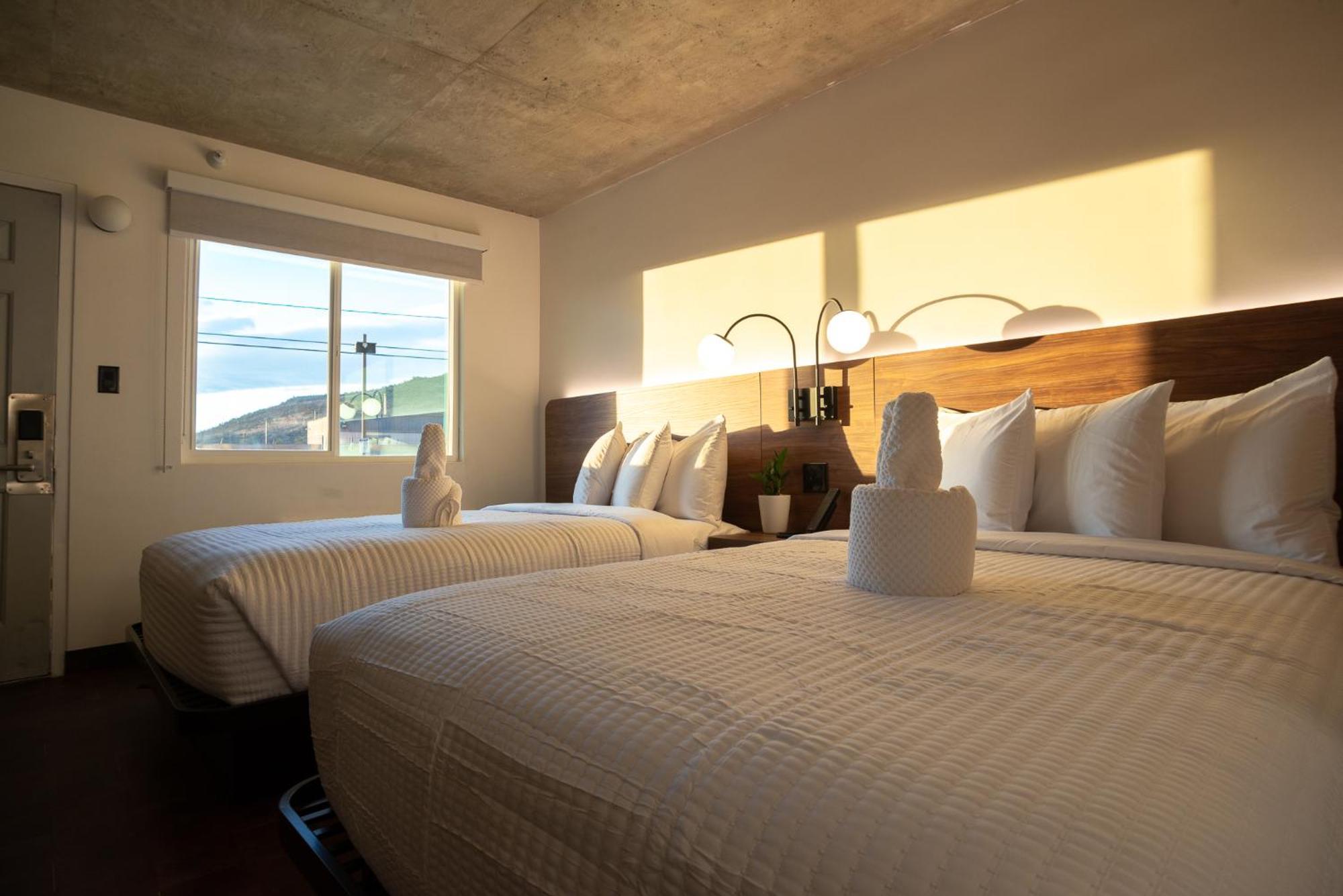 The Alice Hotel Tucson Ngoại thất bức ảnh